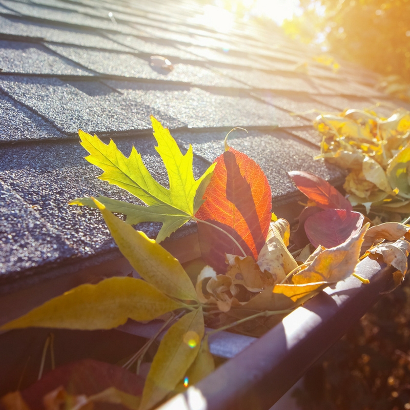 Fall Is Here! Time to get to those home maintenance chores